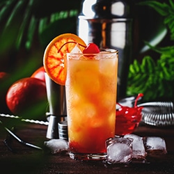 campari-orange-cockail