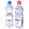 IZVORUL MINUNILOR Apa Plata 12 x 0,5 L