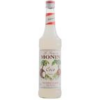 MONIN Sirop de Cocos 0,70 L