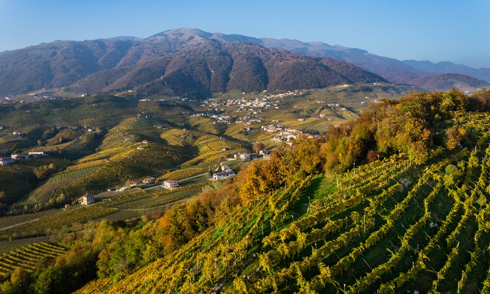 Viitorul industriei de vinuri NU este consumul_Italia_Prosecco